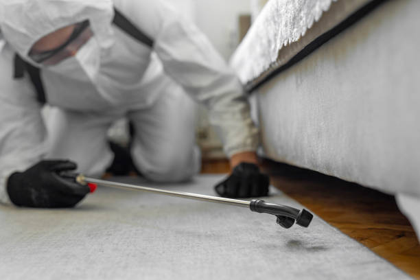 Professional Cockroach Control technician working in South Hill, NY